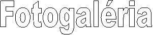 Fotogal�ria
